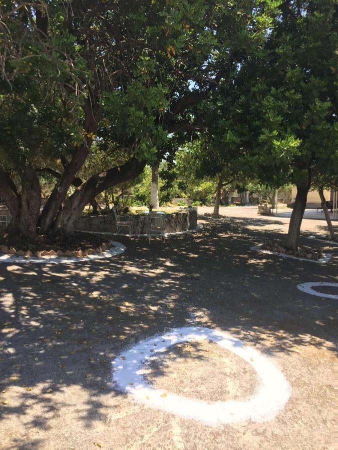 Αγρόκτημα Χελωναριά - Agroktima Chelonaria Albergue Chrani Exterior foto