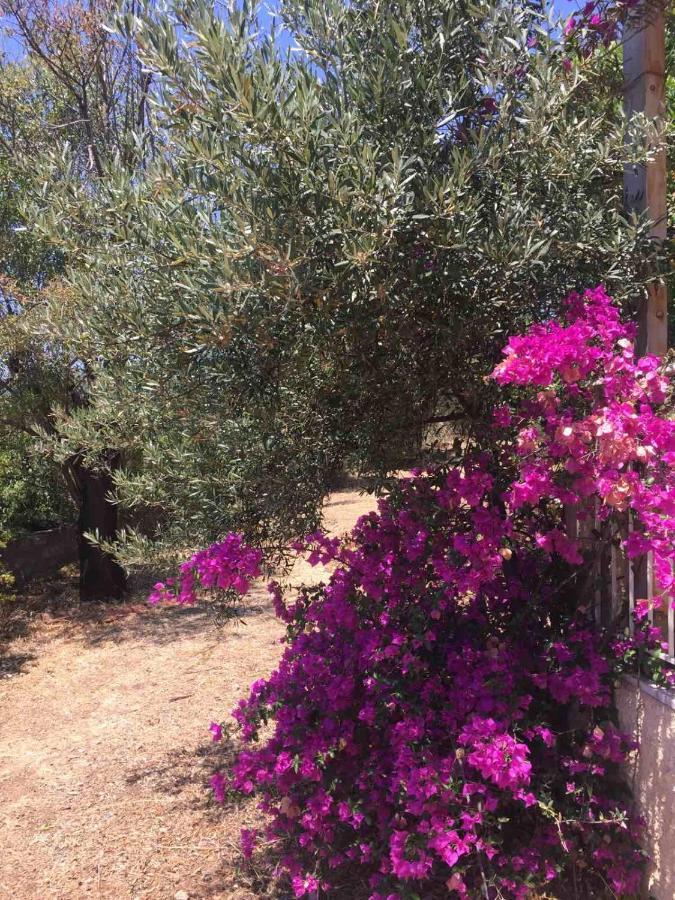Αγρόκτημα Χελωναριά - Agroktima Chelonaria Albergue Chrani Exterior foto