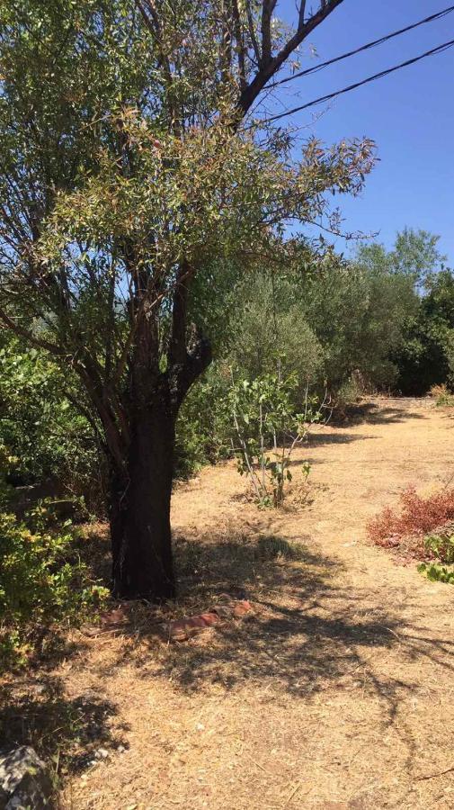 Αγρόκτημα Χελωναριά - Agroktima Chelonaria Albergue Chrani Exterior foto